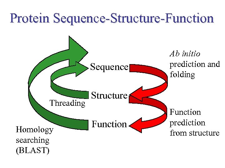 Protein Sequence-Structure-Function Sequence Threading Homology searching (BLAST) Ab initio prediction and folding Structure Function