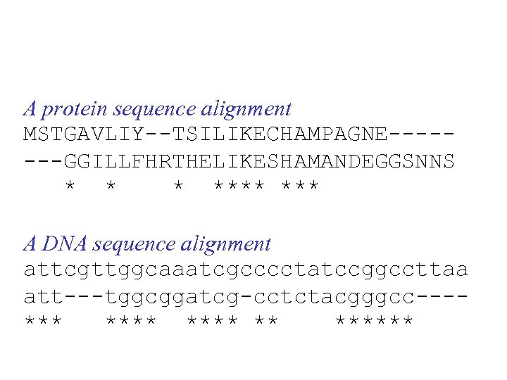A protein sequence alignment MSTGAVLIY--TSILIKECHAMPAGNE-------GGILLFHRTHELIKESHAMANDEGGSNNS * **** A DNA sequence alignment attcgttggcaaatcgcccctatccggccttaa att---tggcggatcg-cctctacgggcc---*** ******