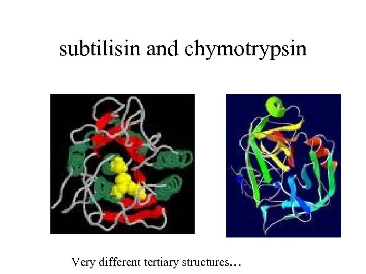 subtilisin and chymotrypsin Very different tertiary structures… 