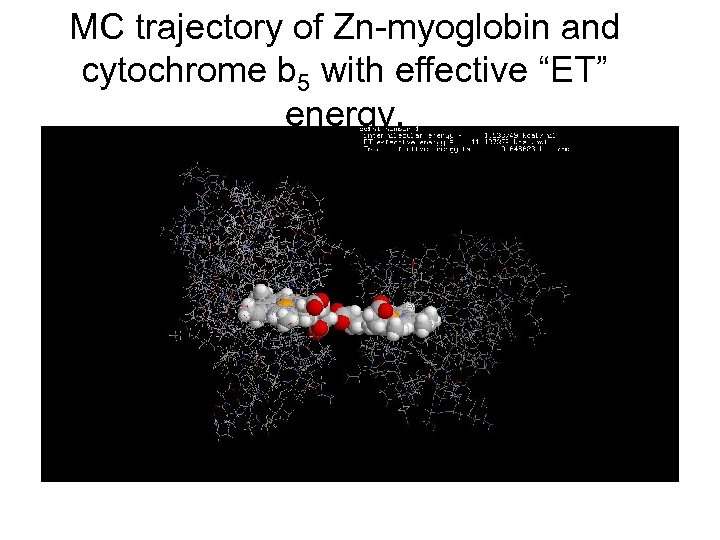 MC trajectory of Zn-myoglobin and cytochrome b 5 with effective “ET” energy. 