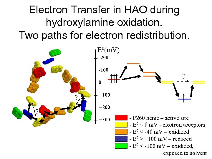 Electron Transfer in HAO during hydroxylamine oxidation. Two paths for electron redistribution. E 0(m.