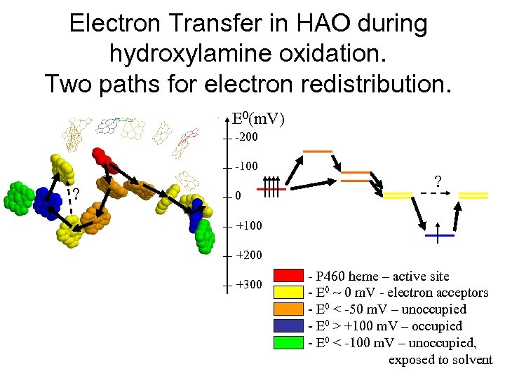 Electron Transfer in HAO during hydroxylamine oxidation. Two paths for electron redistribution. E 0(m.