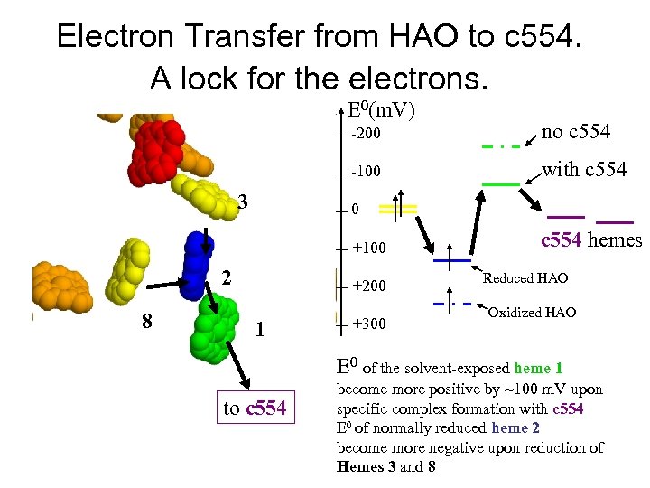 Electron Transfer from HAO to c 554. A lock for the electrons. E 0(m.