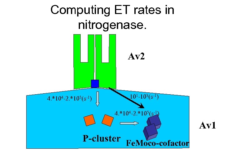 Computing ET rates in nitrogenase. Av 2 4. *104 -2. *105(s-1) 101 -103(s-1) 4.