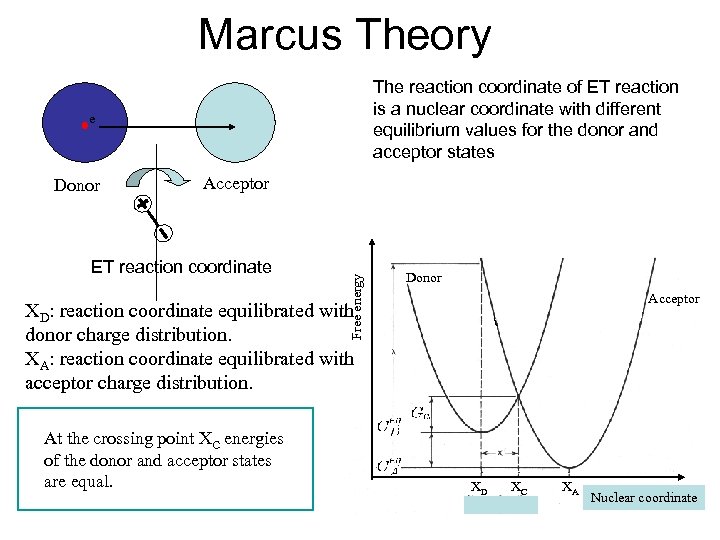 Marcus Theory The reaction coordinate of ET reaction is a nuclear coordinate with different