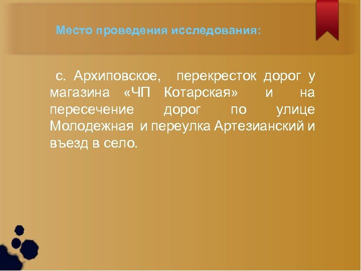 Место проведения исследования: с. Архиповское, перекресток дорог у магазина «ЧП Котарская» и на пересечение