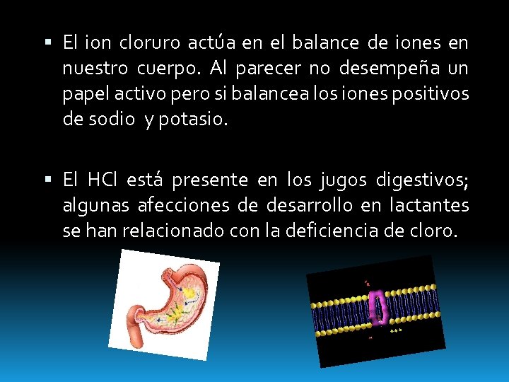  El ion cloruro actúa en el balance de iones en nuestro cuerpo. Al