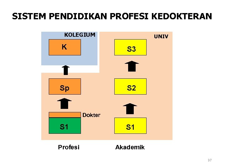 SISTEM PENDIDIKAN PROFESI KEDOKTERAN KOLEGIUM UNIV K S 3 Sp S 2 Dokter S