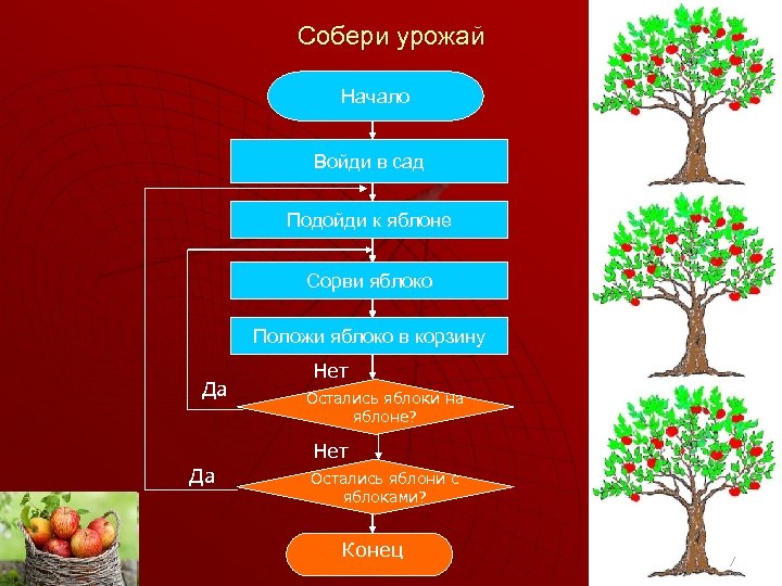 Собери урожай Начало Войди в сад Подойди к яблоне Сорви яблоко Положи яблоко в