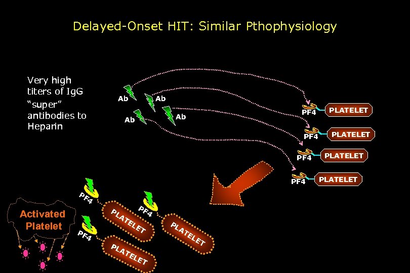 Delayed-Onset HIT: Similar Pthophysiology Very high titers of Ig. G “super” antibodies to Heparin