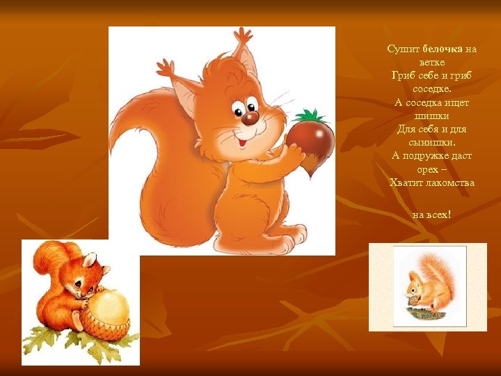 Сушит белочка на ветке Гриб себе и гриб соседке. А соседка ищет шишки Для