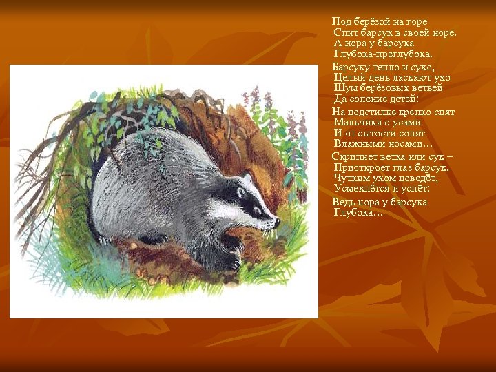  Под берёзой на горе Спит барсук в своей норе. А нора у барсука