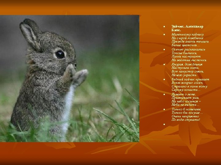 n n n n Зайчик. Александр Блок. Маленькому зайчику На сырой ложбинке Прежде глазки