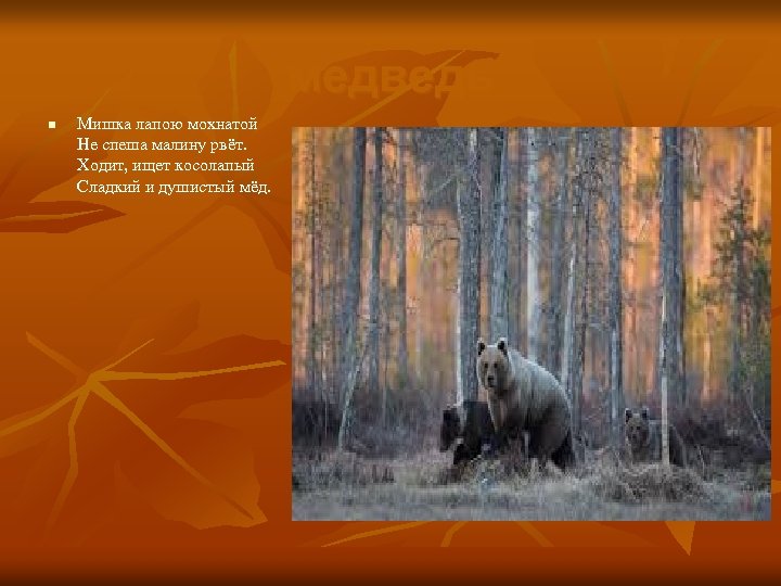 медведь n Мишка лапою мохнатой Не спеша малину рвёт. Ходит, ищет косолапый Сладкий и