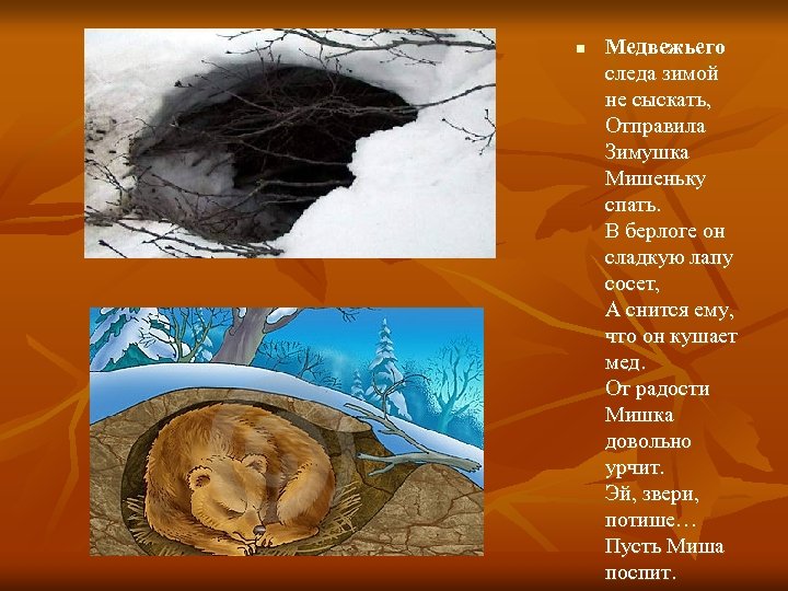 n Медвежьего следа зимой не сыскать, Отправила Зимушка Мишеньку спать. В берлоге он сладкую