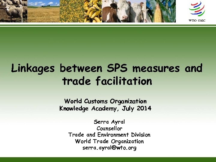 Linkages between SPS measures and trade facilitation World Customs Organization Knowledge Academy, July 2014
