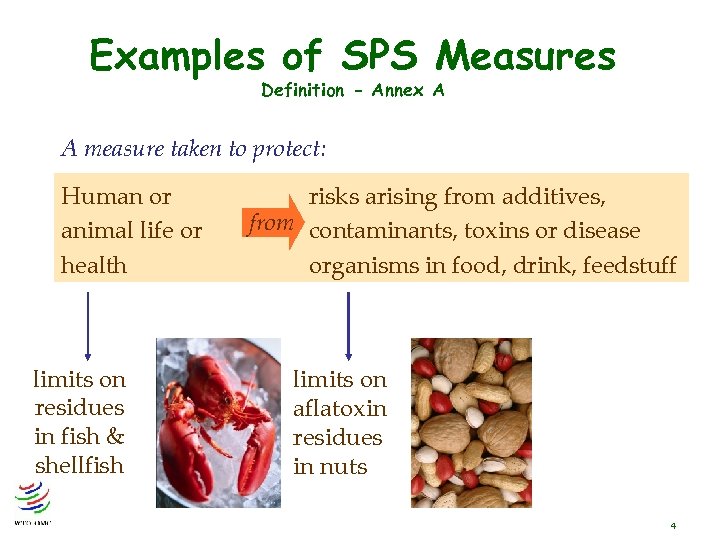 Examples of SPS Measures Definition - Annex A A measure taken to protect: Human