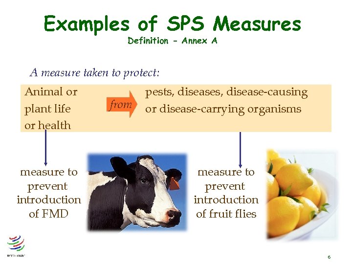 Examples of SPS Measures Definition - Annex A A measure taken to protect: Animal