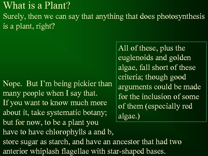 What is a Plant? Surely, then we can say that anything that does photosynthesis