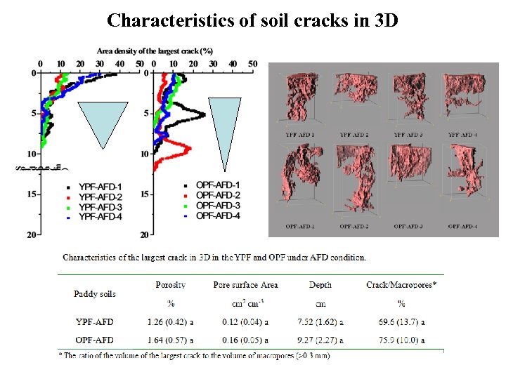 Characteristics of soil cracks in 3 D 