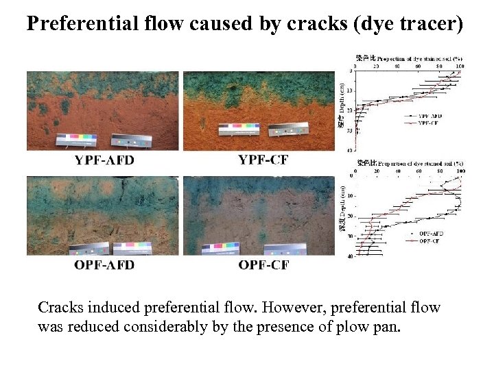 Preferential flow caused by cracks (dye tracer) Cracks induced preferential flow. However, preferential flow