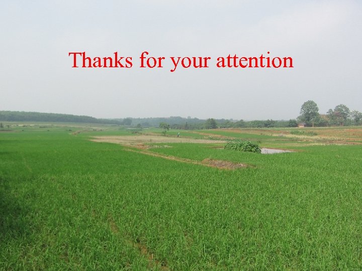 Thanks for your attention 