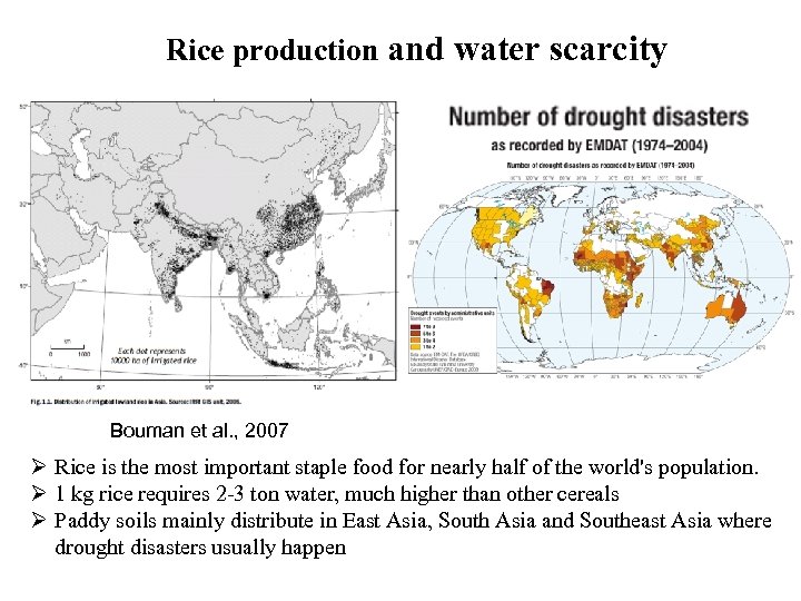 Rice production and water scarcity Bouman et al. , 2007 Ø Rice is the