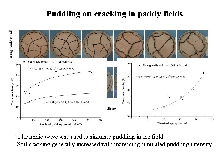 Puddling on cracking in paddy fields Ultrasonic wave was used to simulate puddling in
