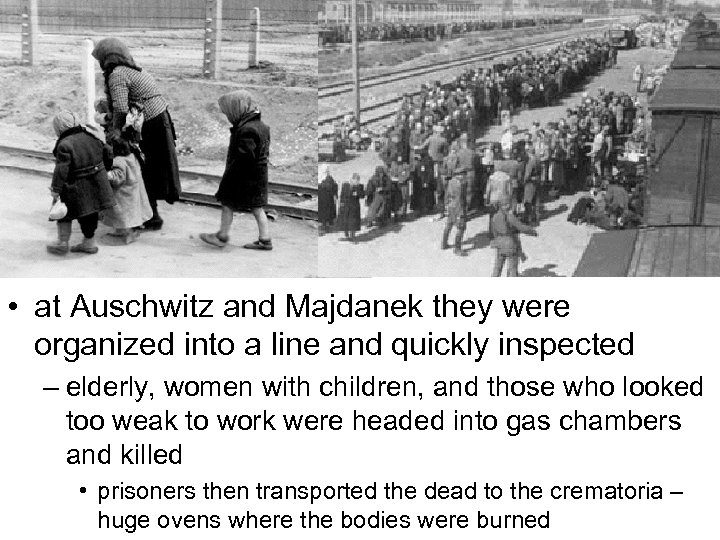  • at Auschwitz and Majdanek they were organized into a line and quickly