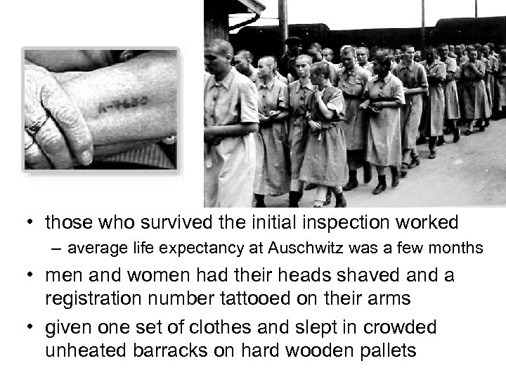  • those who survived the initial inspection worked – average life expectancy at