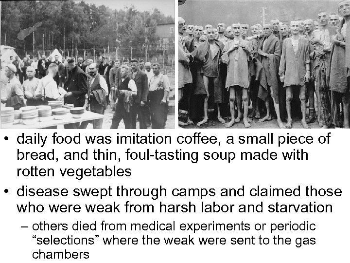  • daily food was imitation coffee, a small piece of bread, and thin,