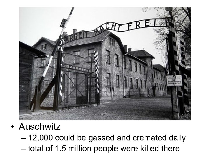  • Auschwitz – 12, 000 could be gassed and cremated daily – total