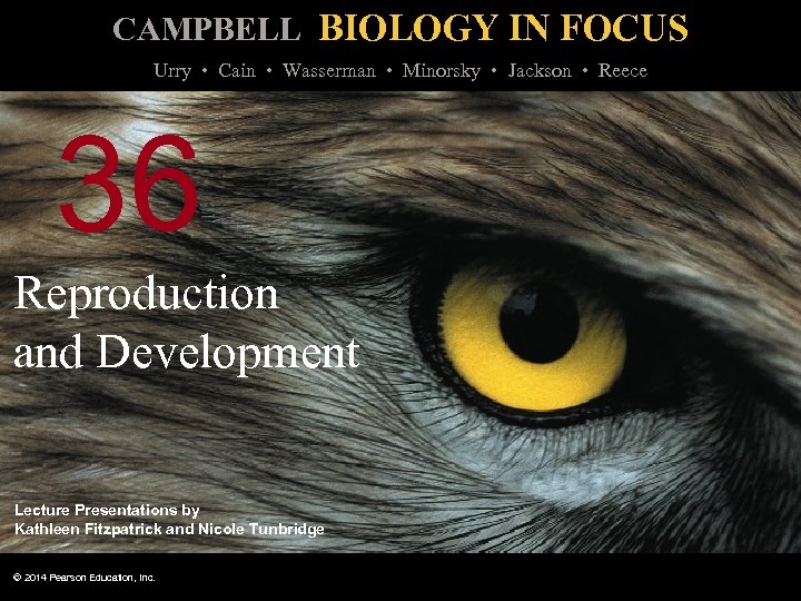 CAMPBELL BIOLOGY IN FOCUS Urry • Cain • Wasserman • Minorsky • Jackson •