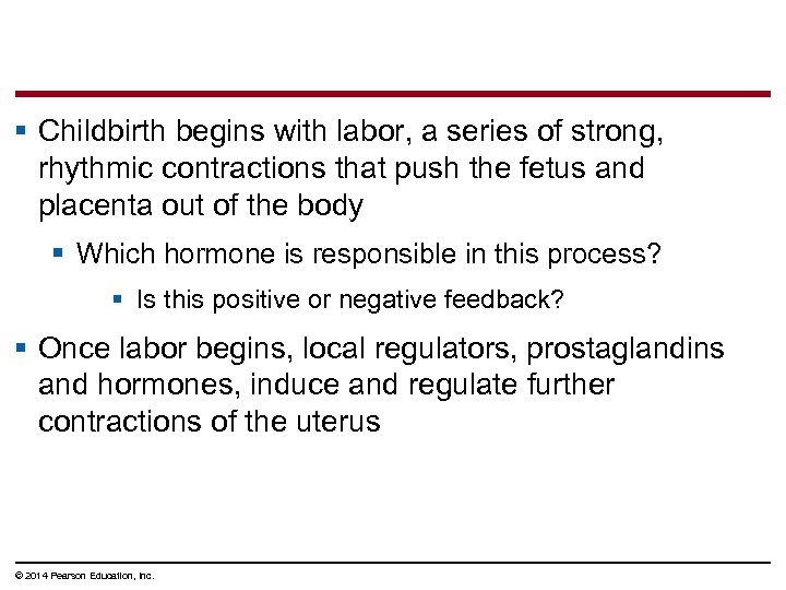 § Childbirth begins with labor, a series of strong, rhythmic contractions that push the