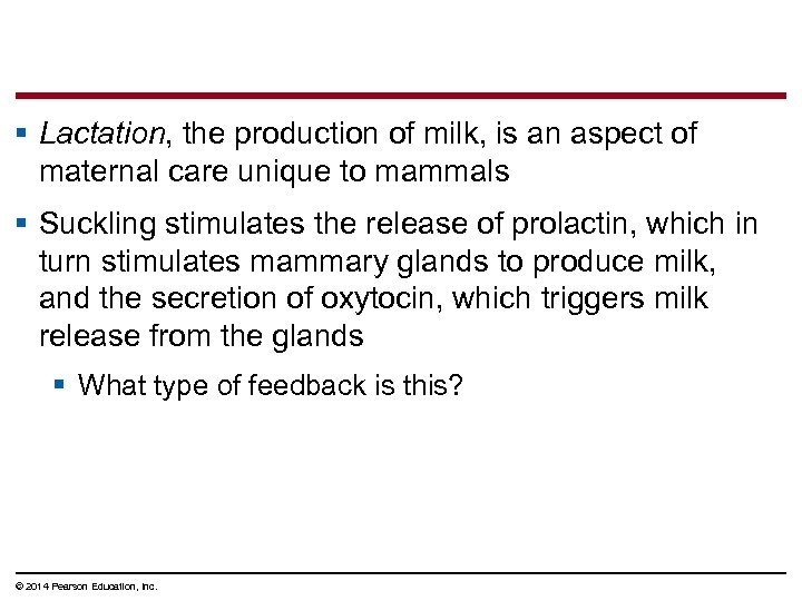 § Lactation, the production of milk, is an aspect of maternal care unique to