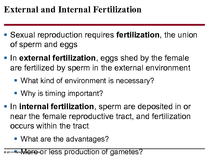 External and Internal Fertilization § Sexual reproduction requires fertilization, the union of sperm and