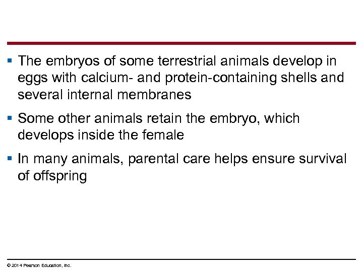 § The embryos of some terrestrial animals develop in eggs with calcium- and protein-containing