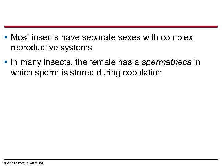 § Most insects have separate sexes with complex reproductive systems § In many insects,