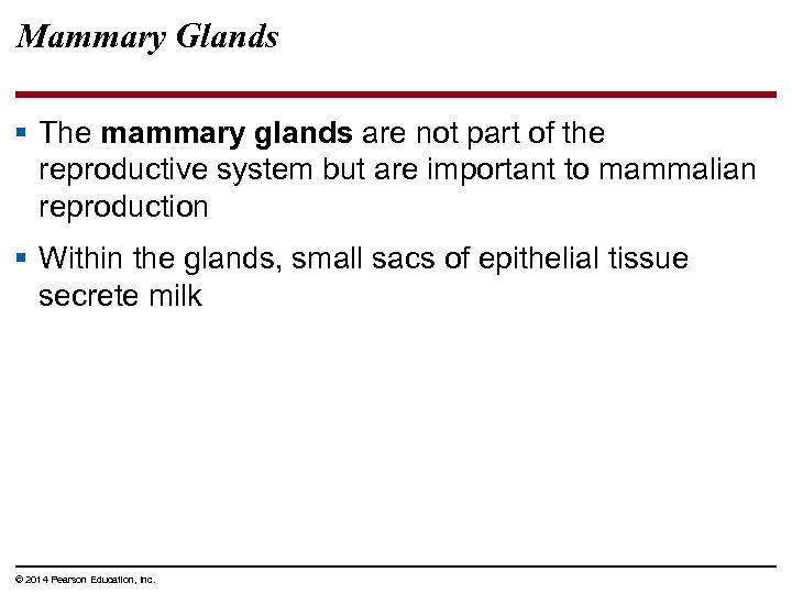 Mammary Glands § The mammary glands are not part of the reproductive system but