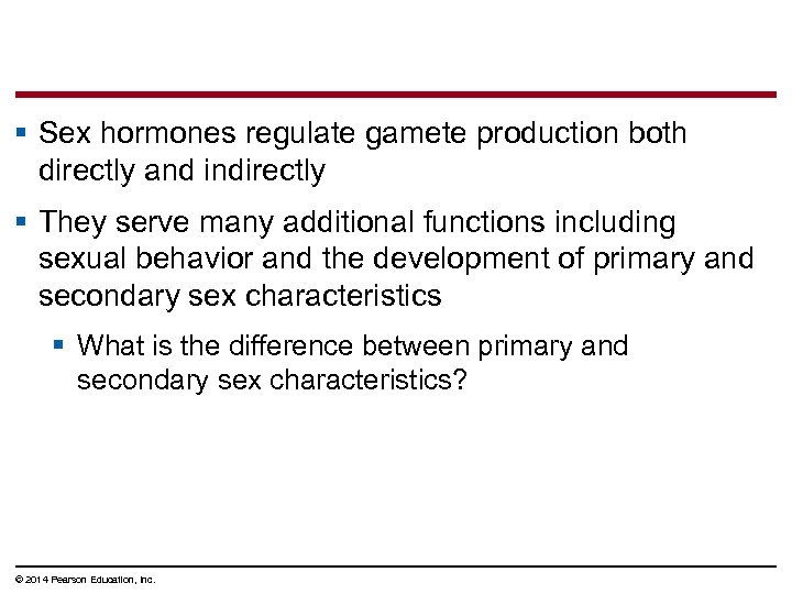 § Sex hormones regulate gamete production both directly and indirectly § They serve many