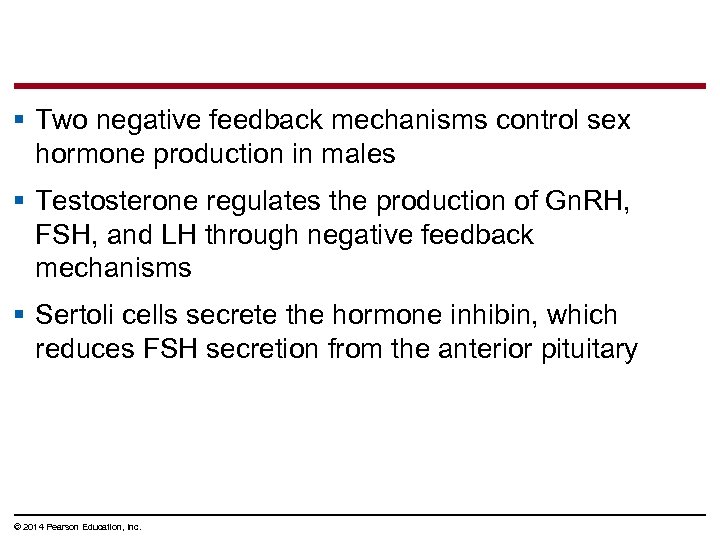 § Two negative feedback mechanisms control sex hormone production in males § Testosterone regulates