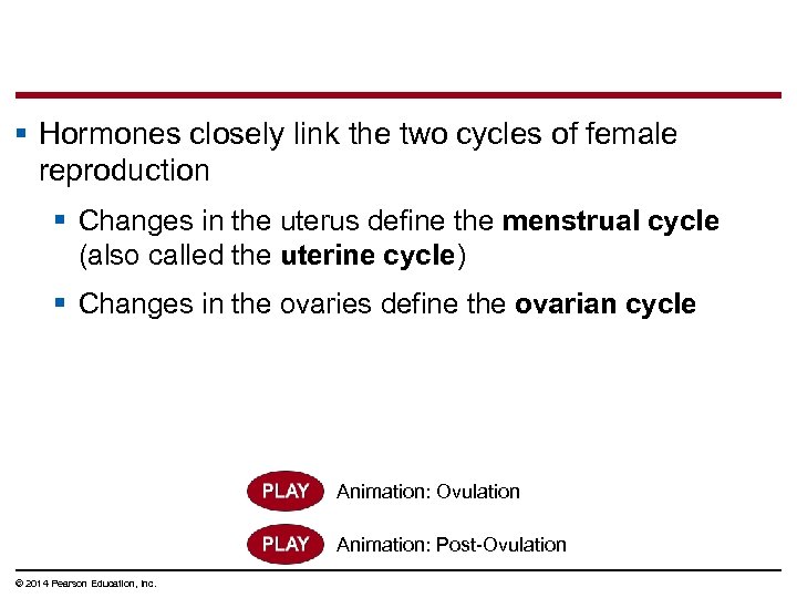 § Hormones closely link the two cycles of female reproduction § Changes in the