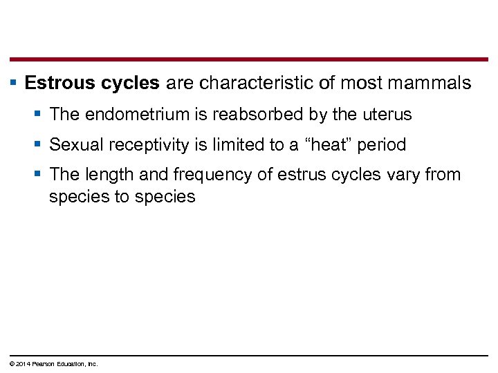 § Estrous cycles are characteristic of most mammals § The endometrium is reabsorbed by