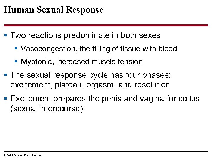 Human Sexual Response § Two reactions predominate in both sexes § Vasocongestion, the filling