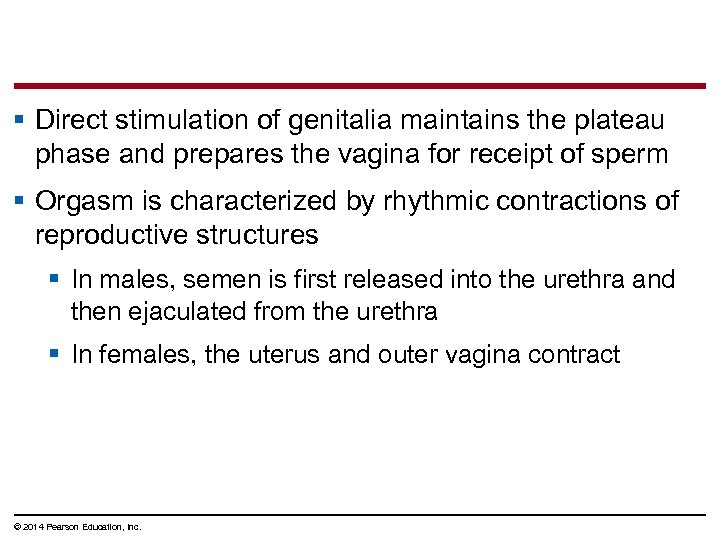 § Direct stimulation of genitalia maintains the plateau phase and prepares the vagina for