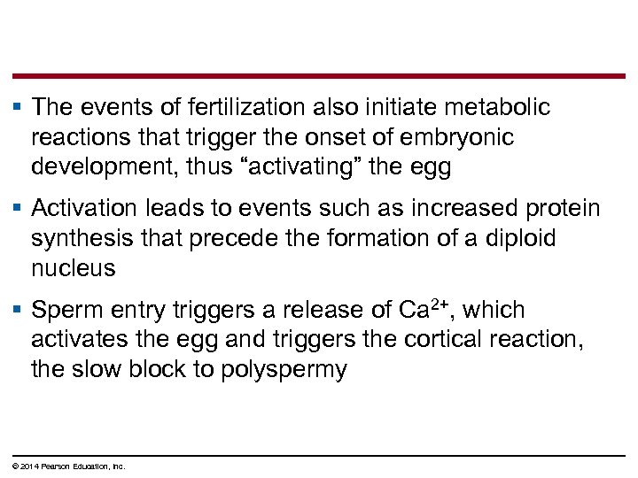 § The events of fertilization also initiate metabolic reactions that trigger the onset of