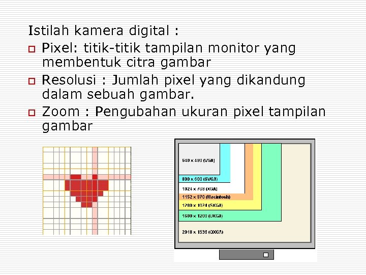 Istilah kamera digital : o Pixel: titik-titik tampilan monitor yang membentuk citra gambar o