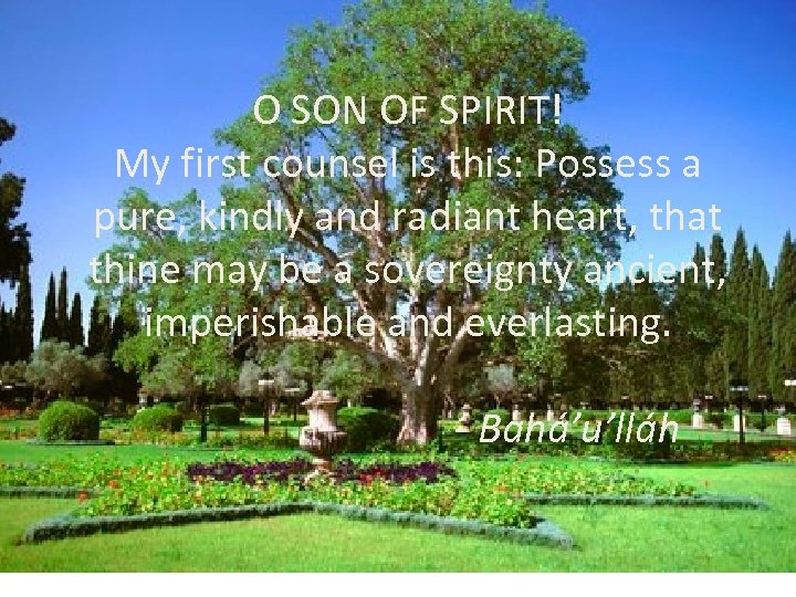 O SON OF SPIRIT! My first counsel is this: Possess a pure, kindly and
