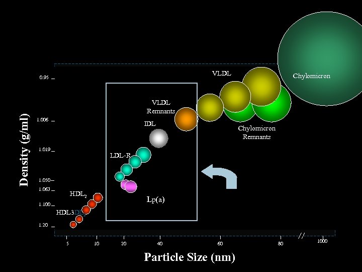 Lipoprotein Particles VLDL Density (g/ml) 0. 95 Chylomicron VLDL Remnants 1. 006 IDL 1.