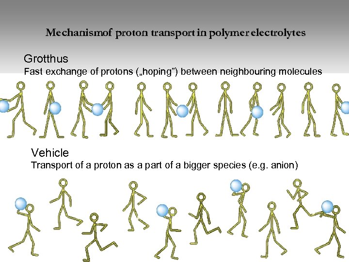 Mechanismof proton transport in polymer electrolytes Grotthus Fast exchange of protons („hoping”) between neighbouring